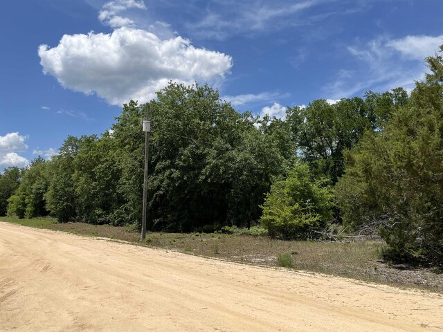 Magnolia Ln, Marianna, FL 32448 - photo 10