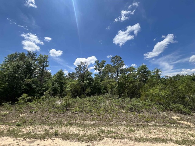Magnolia Ln, Marianna, FL 32448 - photo 7