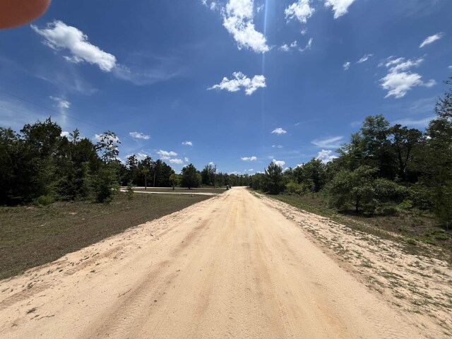 Magnolia Ln, Marianna, FL 32448 - photo 3