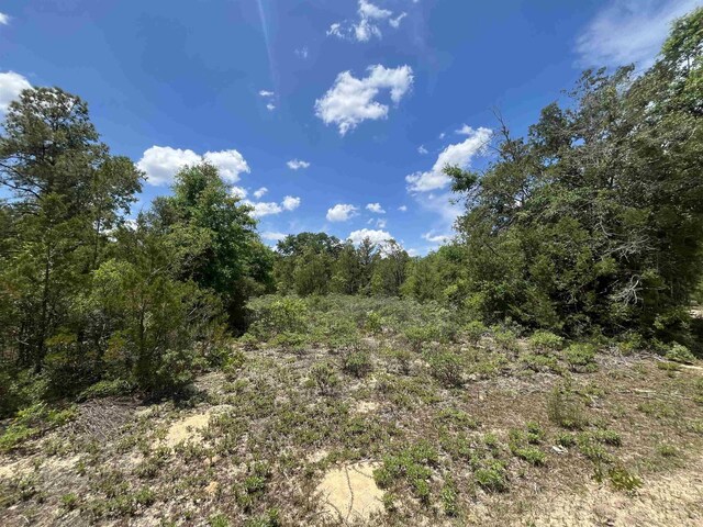 Magnolia Ln, Marianna, FL 32448 - photo 8