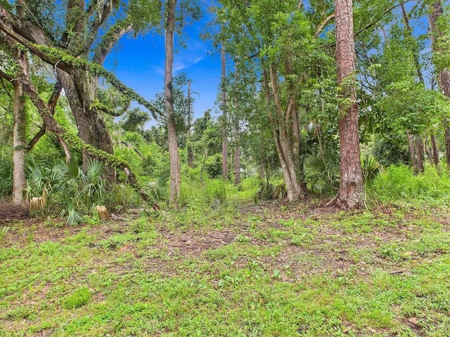 TBD N Veterans Dr, Perry, FL 32348