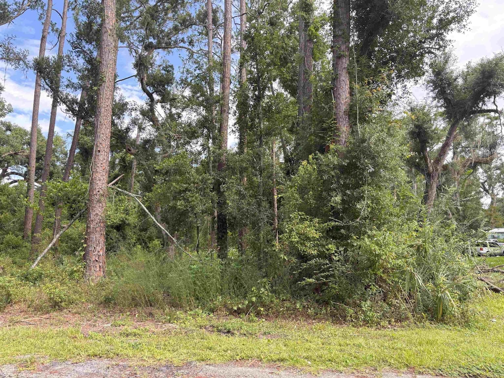 TBD N Veterans Dr, Perry, FL 32348