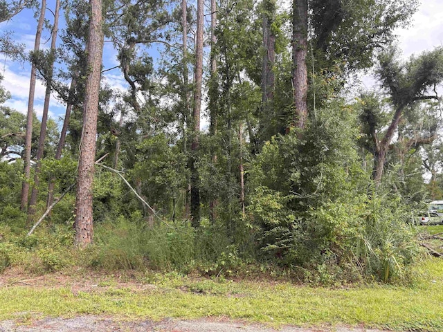 TBD N Veterans Dr, Perry, FL 32348