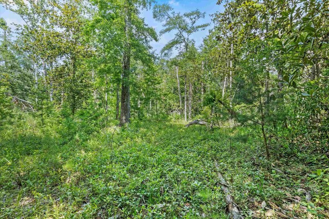 120 Darwin Pl, Quincy, FL 32351