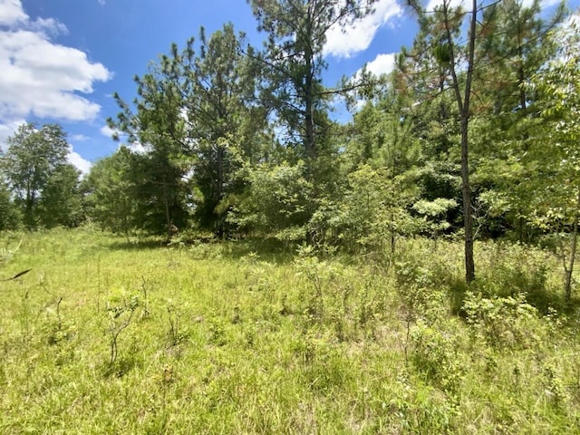0000 NE Dandelion St, Madison, FL 32340 - photo 32