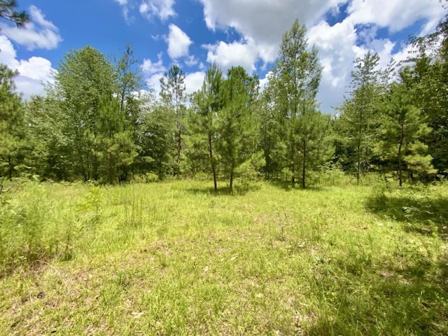 0000 NE Dandelion St, Madison, FL 32340 - photo 35