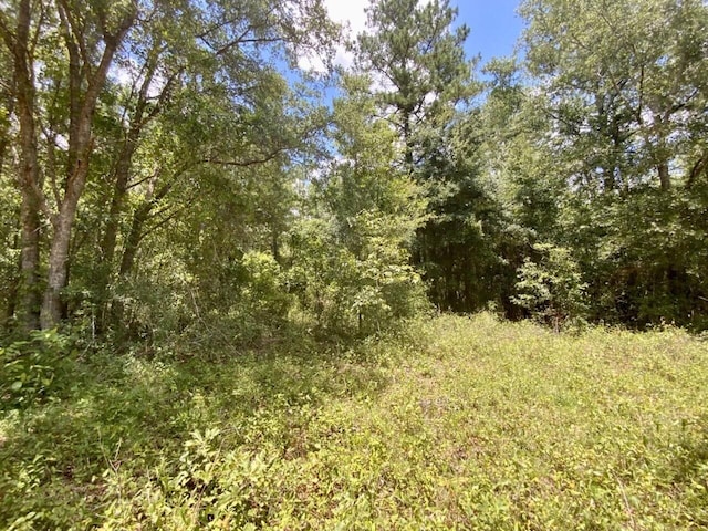 0000 NE Dandelion St, Madison, FL 32340 - photo 21