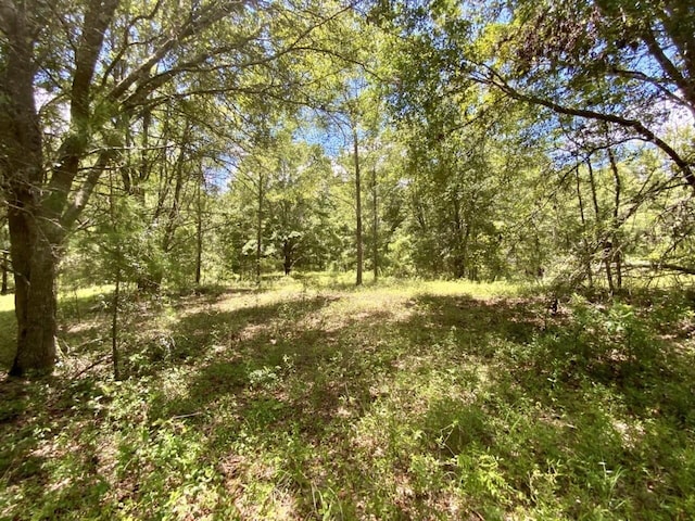 0000 NE Dandelion St, Madison, FL 32340 - photo 20