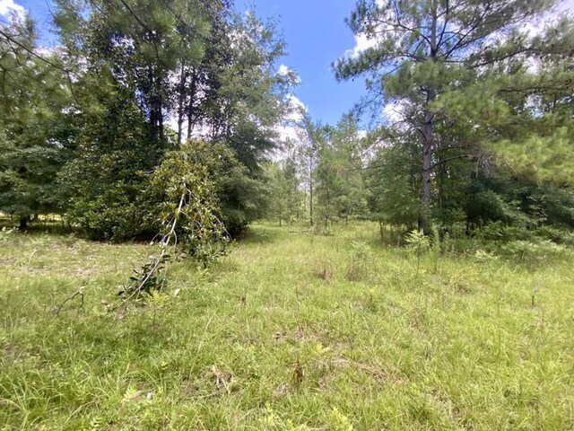0000 NE Dandelion St, Madison, FL 32340 - photo 31