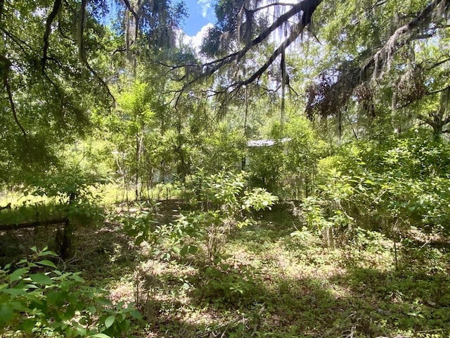 0000 NE Dandelion St, Madison, FL 32340 - photo 15
