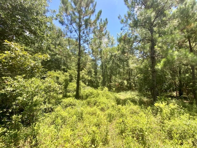 0000 NE Dandelion St, Madison, FL 32340 - photo 19