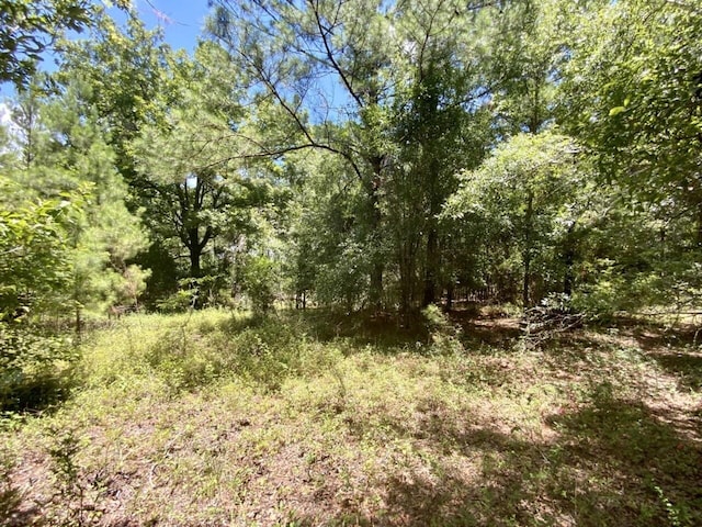 0000 NE Dandelion St, Madison, FL 32340 - photo 17