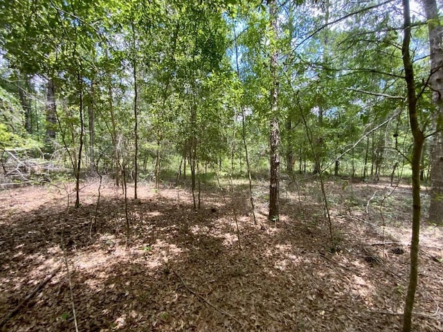 0000 NE Dandelion St, Madison, FL 32340 - photo 28