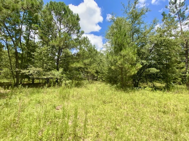0000 NE Dandelion St, Madison, FL 32340 - photo 36