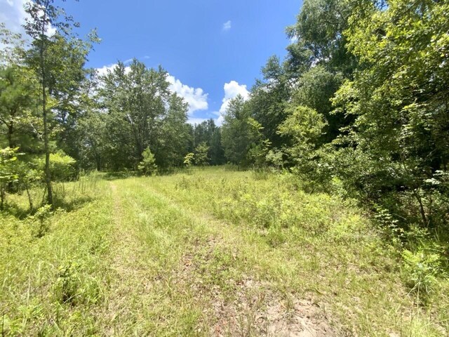 0000 NE Dandelion St, Madison, FL 32340 - photo 18