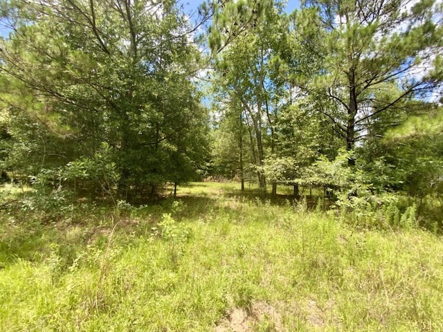 0000 NE Dandelion St, Madison, FL 32340 - photo 37