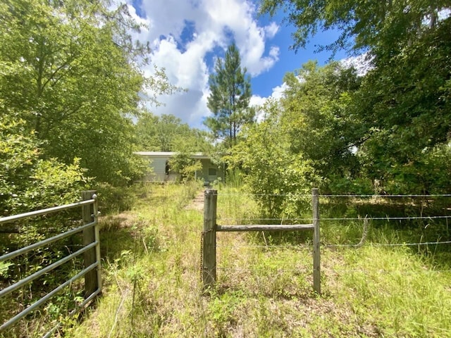 0000 NE Dandelion St, Madison, FL 32340 - photo 11