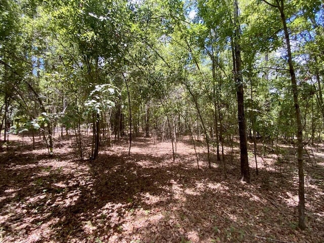 0000 NE Dandelion St, Madison, FL 32340 - photo 26