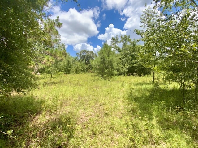 0000 NE Dandelion St, Madison, FL 32340 - photo 42