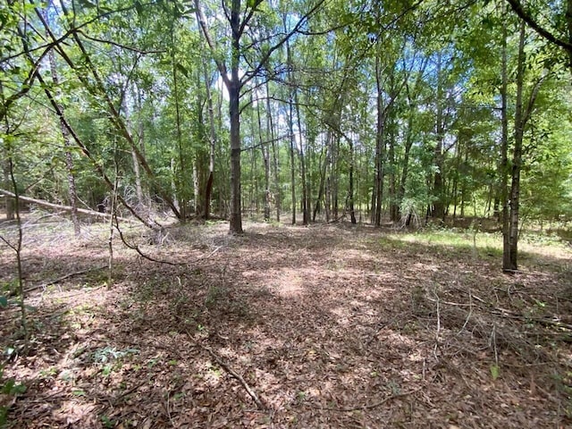 0000 NE Dandelion St, Madison, FL 32340 - photo 22