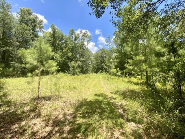 0000 NE Dandelion St, Madison, FL 32340 - photo 5