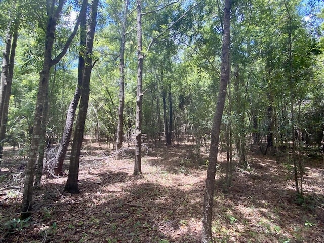 0000 NE Dandelion St, Madison, FL 32340 - photo 24