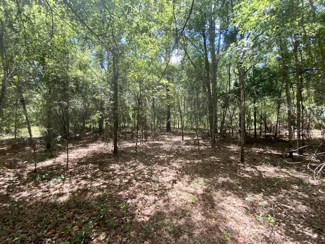 0000 NE Dandelion St, Madison, FL 32340 - photo 25