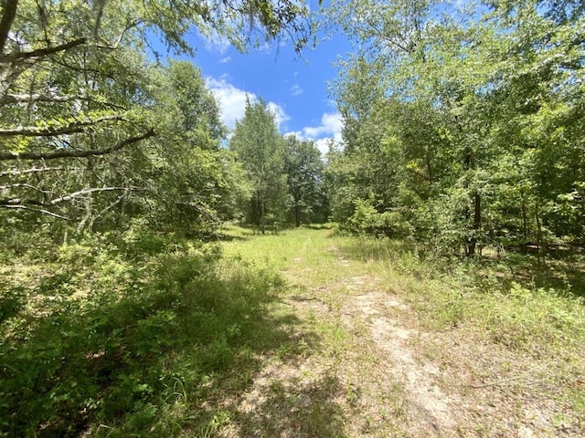 0000 NE Dandelion St, Madison, FL 32340 - photo 2
