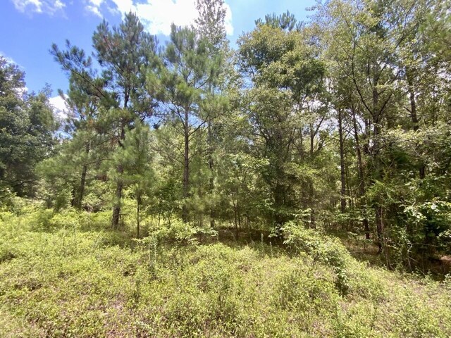 0000 NE Dandelion St, Madison, FL 32340 - photo 4