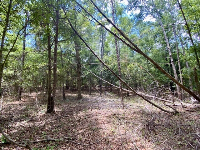 0000 NE Dandelion St, Madison, FL 32340 - photo 23