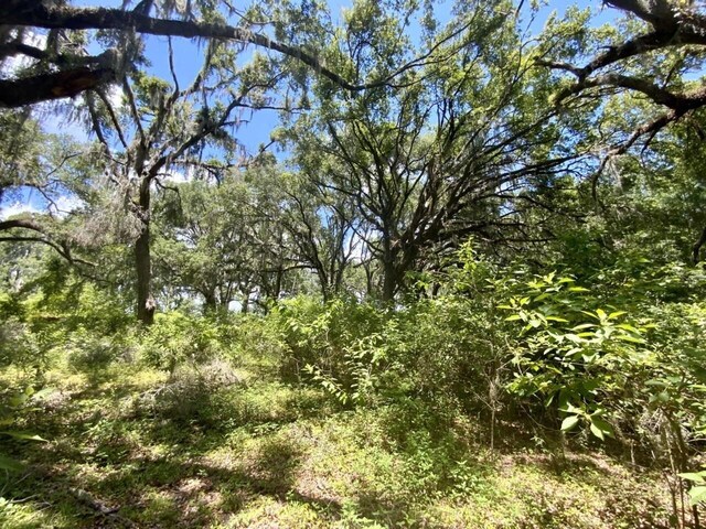 0000 NE Dandelion St, Madison, FL 32340 - photo 13