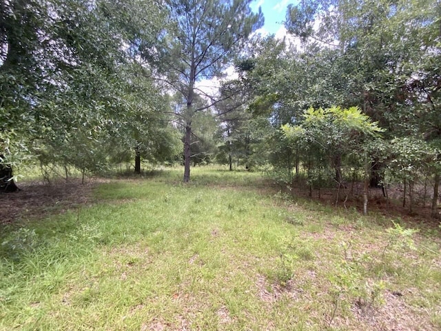 0000 NE Dandelion St, Madison, FL 32340 - photo 40
