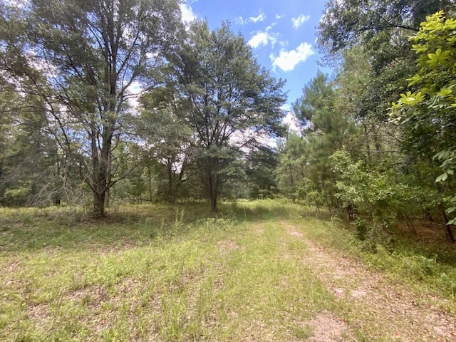 0000 NE Dandelion St, Madison, FL 32340 - photo 3