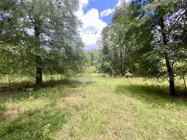 0000 NE Dandelion St, Madison, FL 32340 - photo 41