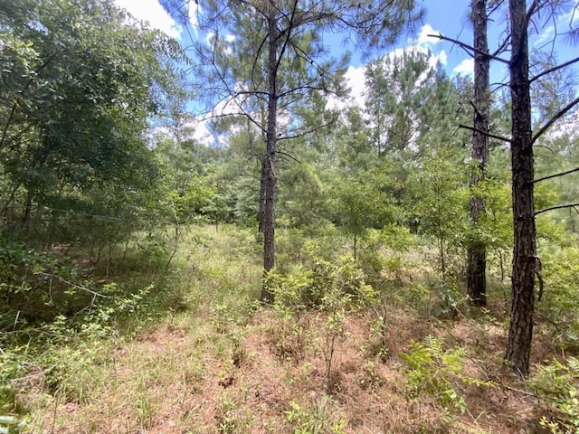 0000 NE Dandelion St, Madison, FL 32340 - photo 29