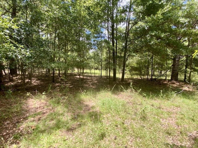0000 NE Dandelion St, Madison, FL 32340 - photo 34