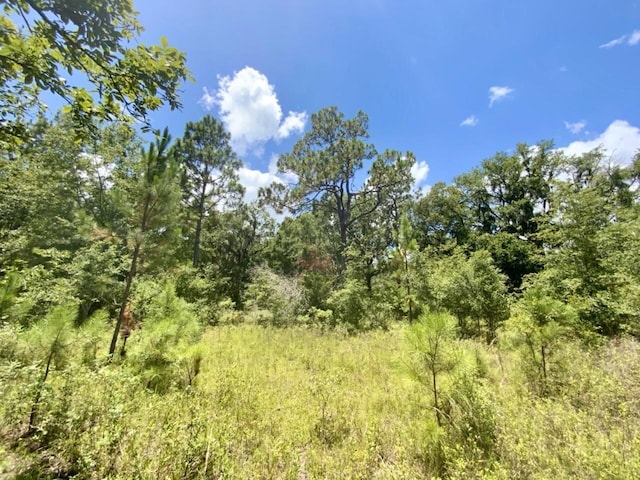 0000 NE Dandelion St, Madison, FL 32340 - photo 16