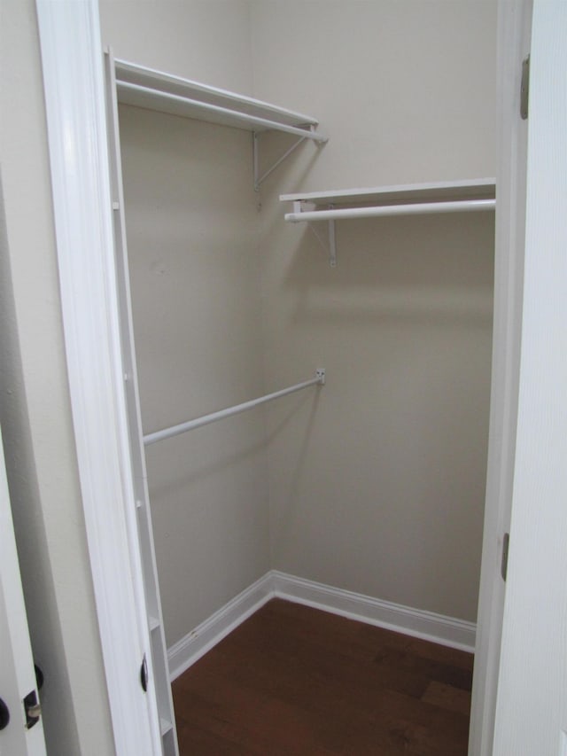 spacious closet with dark wood-type flooring