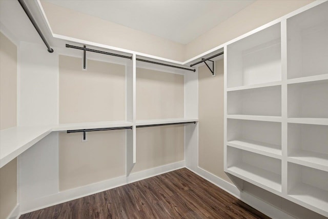 spacious closet with dark wood-type flooring