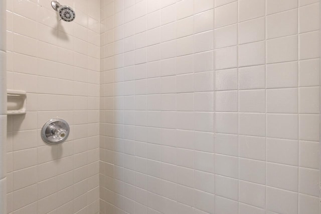 details with a tile shower