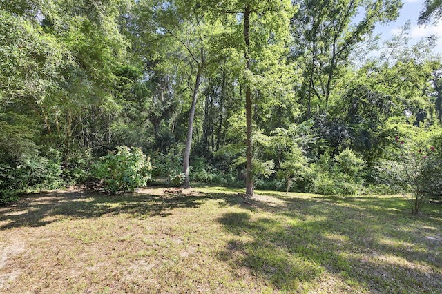 2924 Parrish Dr, Tallahassee, FL 32309 - photo 46