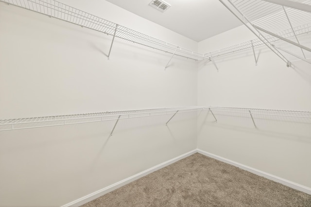 2924 Parrish Dr, Tallahassee, FL 32309 - photo 29