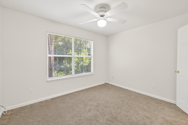 2924 Parrish Dr, Tallahassee, FL 32309 - photo 34