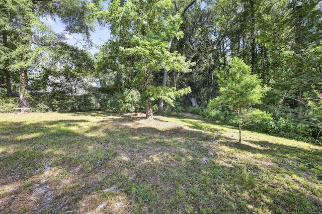 2924 Parrish Dr, Tallahassee, FL 32309 - photo 50