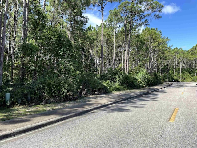 118 White Pelican Way, Carrabelle, FL 32322 - photo 8