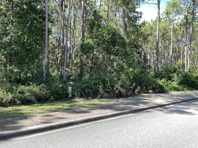 118 White Pelican Way, Carrabelle, FL 32322 - photo 6