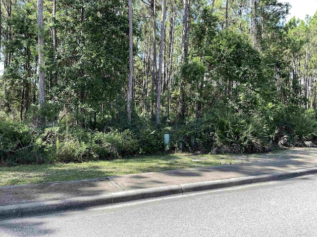118 White Pelican Way, Carrabelle, FL 32322 - photo 5