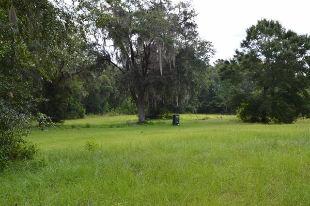 16131 US-19, Lamont, FL 32336 - photo 11