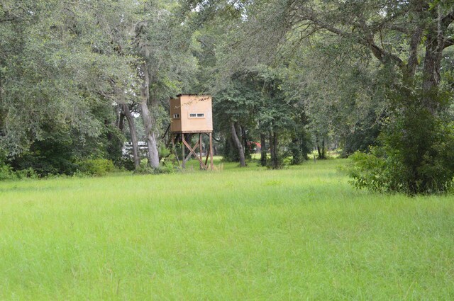 16131 US-19, Lamont, FL 32336 - photo 10