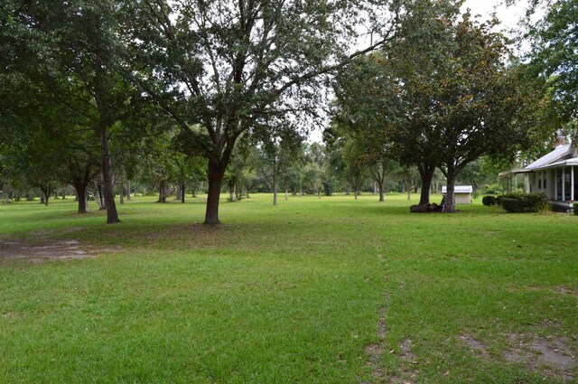 16131 US-19, Lamont, FL 32336 - photo 16